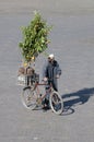 Arab orange tree seller