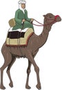 Arab Riding Camel Vector Illustration Royalty Free Stock Photo