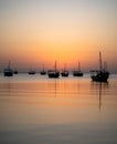 Arab traditional dhows in the shore during the sunrise in Qatar