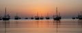 Arab traditional dhows in the shore during the sunrise in Qatar