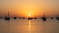 Arab traditional dhows in the shore during the sunrise in Qatar