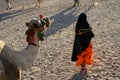 Arab woman with the camel