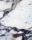 Arabescato marble texture