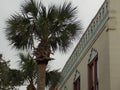 Arabesque Roofline Royalty Free Stock Photo