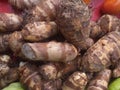 Arabi vegetable used in Indian food Royalty Free Stock Photo