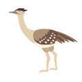 Arabian bustard icon vector illustration. Cartoon style bird Royalty Free Stock Photo