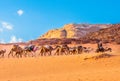 Arabian Camel caravan traveling in Wadi-Rum desert Royalty Free Stock Photo