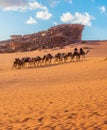 Arabian Camel caravan traveling in Wadi-Rum desert Royalty Free Stock Photo