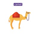 Arabian camel icons set. Royalty Free Stock Photo