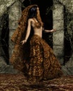 Arabian dancer Royalty Free Stock Photo