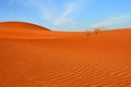 Arabian desert.