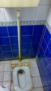 Arabian digusting toilet