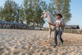 Arabian horse at equestrian show Royalty Free Stock Photo