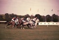 Arabian horse racing sluzewiec warsaw