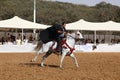 Arabian horse show and championship Royalty Free Stock Photo