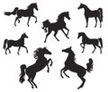 Arabian Horse silhouette Royalty Free Stock Photo