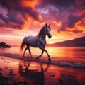 Arabian horse trots along beautiful beach at sunset Royalty Free Stock Photo