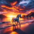 Arabian horse trots along beautiful beach at sunset Royalty Free Stock Photo