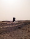 Arabian knight in the desert at sunset, Douz Tunisia, sahara desert