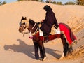 Arabian knight in the desert at sunset, Douz Tunisia, sahara desert