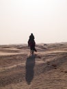 Arabian knight in the desert at sunset, Douz Tunisia, sahara desert Royalty Free Stock Photo