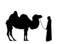 Arabian man sheikh standing after riding camel vector silhouette illustration isolated on whit