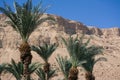 Arabian mideast scenic view. High palmtree in beautiful gorge formation En Gedy, in national Judean desert on shore of Dead Sea