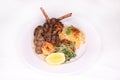 ARABIAN MIX GRILL with biryani, kofta kabab, lamb chop, prawn and salad served in dish isolated on background side view of arab Royalty Free Stock Photo