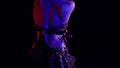 arabian night performance, woman is dancing oriental dance in darkness, rear view