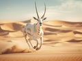 Arabian oryx