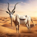 Arabian Oryx antelope Royalty Free Stock Photo