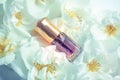 Arabian oud attar perfume or agarwood oil fragrances in mini bottle Royalty Free Stock Photo