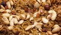 Arabian Rice Meal (Kabsa) Closeup