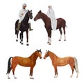 Arabian riders and horses