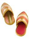 Arabian shoes Royalty Free Stock Photo