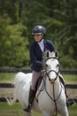 Arabian with Woman Rider Portrait