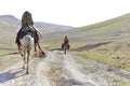 Arabians beduins riding a white camel and donkey in the Israeli desert