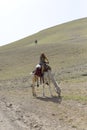 Arabians beduins riding a white camel and donkey in the Israeli desert