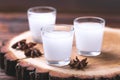 Alcohol Raki with anis. Turkish, Greek aperitif arak, Ouzo Royalty Free Stock Photo