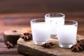 Alcohol Raki with anis. Turkish, Greek aperitif arak, Ouzo Royalty Free Stock Photo