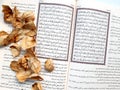 Arabic Book with Dry Leaves