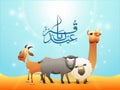 Arabic calligraphy text Eid-Ul-Adha, Islamic festival of sacrifice with illustration of sheep, goat, camel and buffalo.