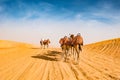 Arabčina ťavy sprevádzaný podľa v púšť z zabí 