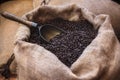 Arabic coffee beans and scoop in a jute sack. Roasted coffee beans