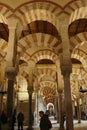 Arabic columns in the prayer hall of the former mosque