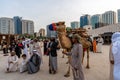 Arabic culture display - traditional cloth - Middle Eastern Culture - Emirati Men | tourist attraction activities