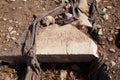 Arabic letters engraved on marble in the ancient city of Knidos, one of the cities of Anatolia