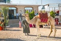 Arabic man with camel in Egypt Royalty Free Stock Photo