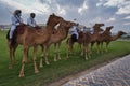Arabic men in Traditional costume riding camels and standing in front of the Amiri diwan in Doha Qatar