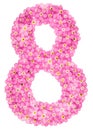 Arabic numeral 8, eight, from pink forget-me-not flowers, isolat